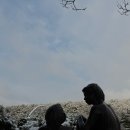 둥지다방 - 양평군 용문시장1길 1 | 다방 “커피3 : 프림3 : 설탕1”