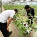 광양시 농업기술센터 기술보급과 이미지