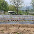 소초농장 이미지