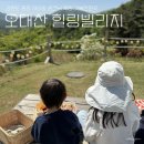 대관령안개자니영농조합법인 | 강원도 국내힐링여행 평창 아이와 가볼만한곳 오대산 힐링빌리지 팜크닉 유아숲체험