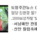 아웃토반 이미지