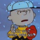 당신의 자취방