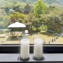 데이트하고 사진 찍기 좋은 곳 유성구 더 마루 레스토랑 & 카페 방문기 / 꽃피우네 & 스몰 웨딩 연리지