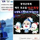 서울 근교 경기도 포천 겨울 동장군축제 주말에 다녀온 후기
