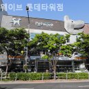 펫웨이브 동물의료센터 | 예쁜 고양이 찾는다면 송파구 고양이분양 추천 펫웨이브 롯데타워점 / 가는길 위치 정보