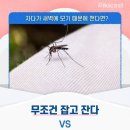 무조건 잡고 잔다 VS 무시하고 잔다 이미지