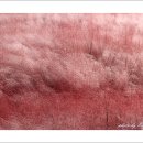 죽미령 평화공원 이미지