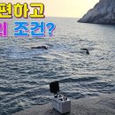 비진도 볼락낚시 이미지