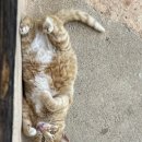 지례식당 이미지
