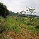 구림면사무소 이미지