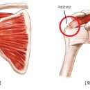 척바른재활의학과의원 이미지