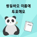 쌍둥이 아기판다 이름 투표 I 동생바오 이름 후보 공개, 에버<b>랜드</b> 사이트 <b>링크</b>