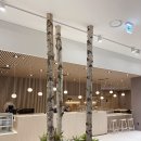 케이조경 이미지