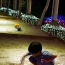 포레스트 12 자연휴양림 이미지