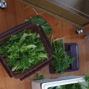 천두농장 이미지