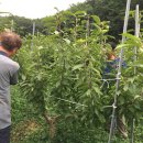 바우농장 이미지