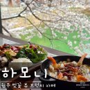 원주 브런치 맛집 추천｜하모니 벚꽃시즌 방문 후기 (뷰 아름다움 주의!!)