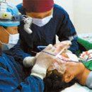 아리랑기획 이미지