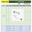 라일락부동산공인중개사사무소 이미지