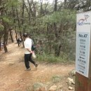 매봉약수 이미지