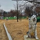 개롱공원2(놀이터)화장실 | 구미 동락공원 주차정보 포함 반려견 놀이터 산책코스