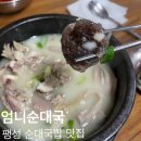 김 약 국 | 평택 팽성 노포 맛집 엄니순대국 내돈내산 방문후기