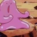 더뉴복싱 이미지