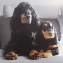 김태화동물병원 이미지