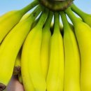 한재윤농장 이미지