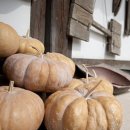 주식회사정일산업 | 15일 호박정으로 나의 라이프스타일 업 붓기영양제 관리 후기