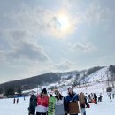크로스핏 배곧 2024 MT (+ 호랑이 소풍 겨울눈놀이)