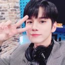 디제이스포츠