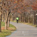 [생태탐방] 소래포구 이미지