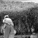 매화나무집 이미지