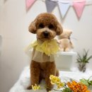 진잠마을공인중개사사무소 이미지