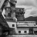 에콜로지 이미지