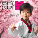 다사로움태권도 이미지