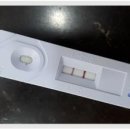 조광동물병원 이미지