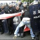 BBC방송, "30개월령 광우병 우려는 근거없어" 이미지