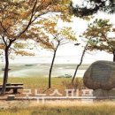 장평면사무소 이미지