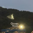 고고당구장 | 홍천 비발디파크 숙소 오션월드 패키지 최저가 추천 소노벨 b동 패밀리 고기 먹거리 총정리 후기