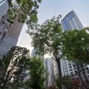 세빛약국 이미지