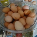 청림축산 이미지