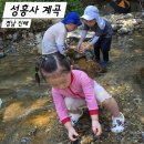 대장로 | 부산 근교 계곡 추천 진해 성흥사 계곡 아이랑 물놀이 준비물 주차 후기