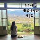아름다운찻집 | 하동 찻집 녹차밭이 아름다운 카페 매암제다원,하동 차박물관 방문후기(+인스타 포토존)