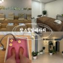 팜스힐링테라피