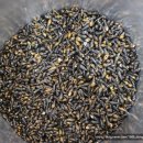 동양건강원 이미지