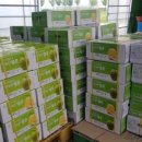 황금뜰농장 이미지