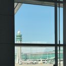 W. 신혼여행 | 본식 3개월 앞두고 뉴욕&amp;칸쿤으로 신혼여행지 변경! 여행 사전 경비 요약