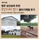아름다운주유소 화장실 | 제주 성산승마 추천ㅣ목장카페 밭디에서 말타기체험 후기